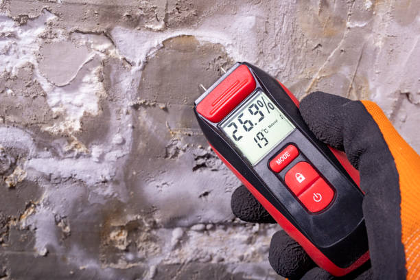 Best White Mold Remediation in Summit, NJ